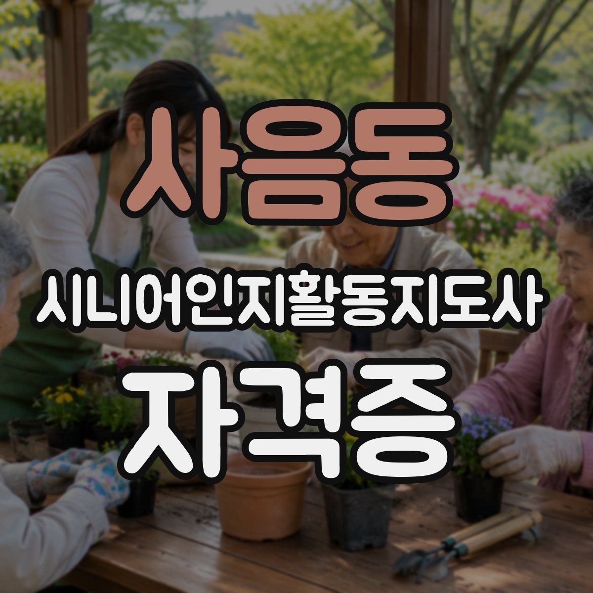 사음동 시니어인지활동지도사 자격증