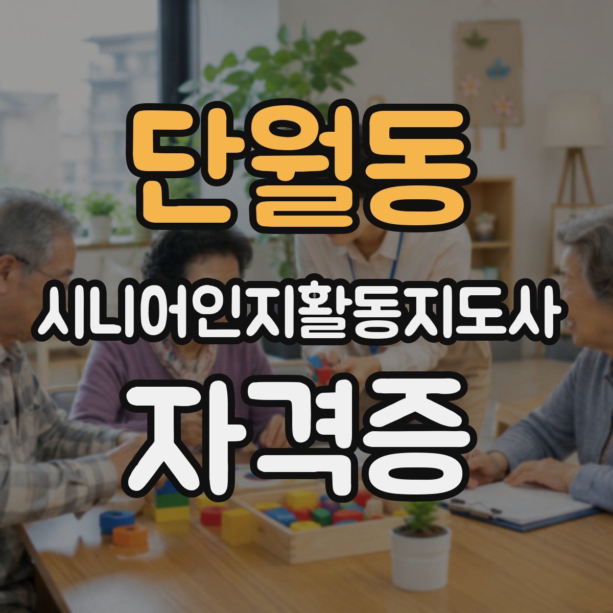 단월동 시니어인지활동지도사 자격증
