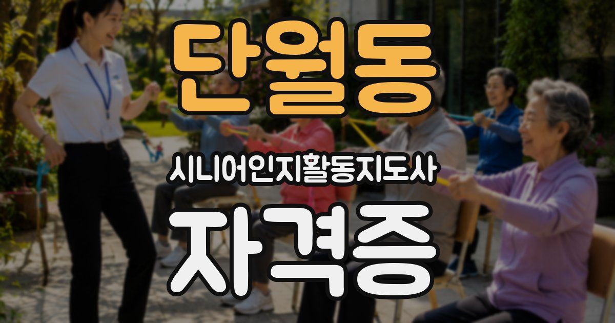 단월동 시니어인지활동지도사 자격증