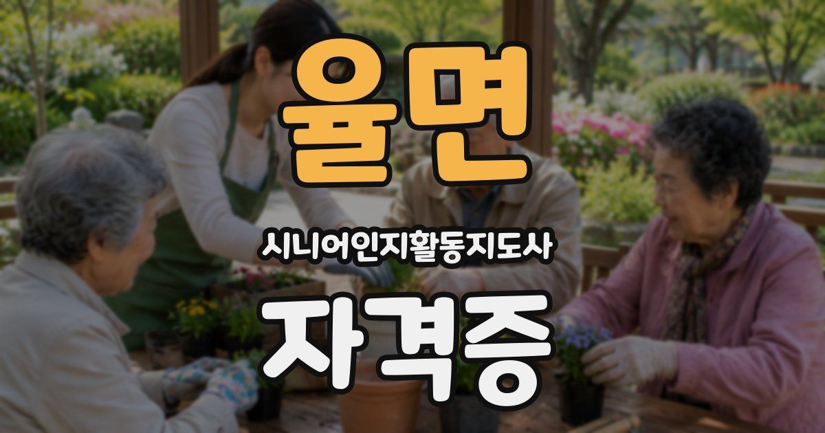 율면 시니어인지활동지도사 자격증