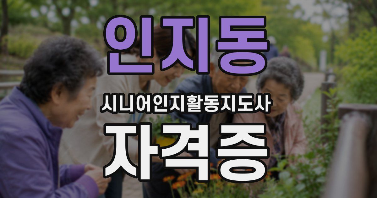 인지동 시니어인지활동지도사 자격증