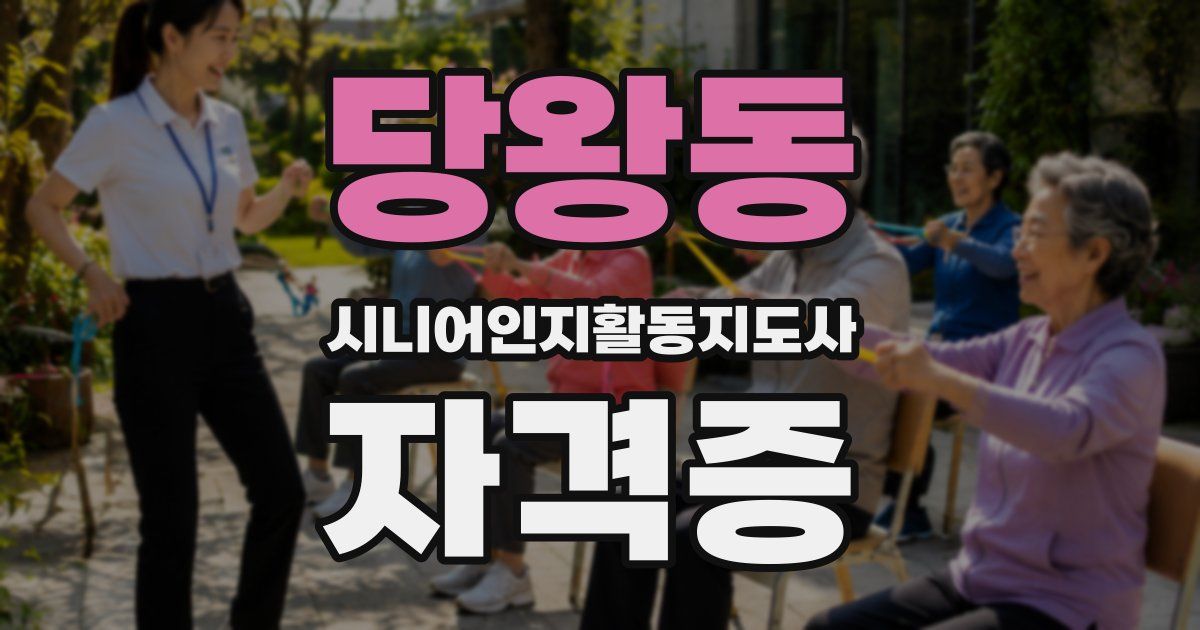 당왕동 시니어인지활동지도사 자격증