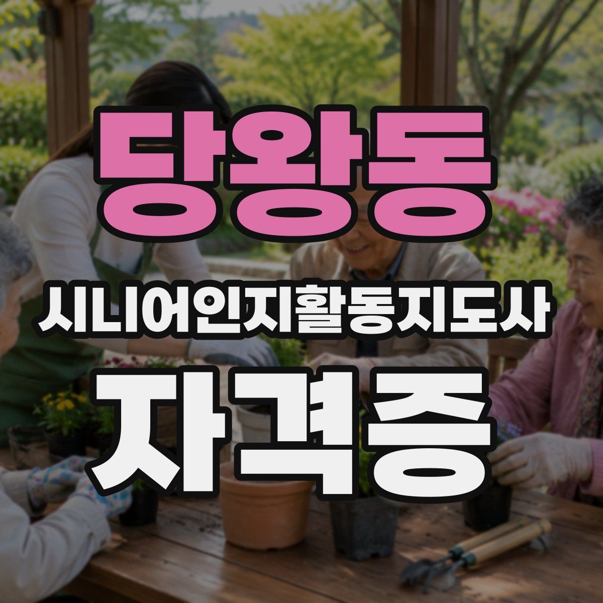 당왕동 시니어인지활동지도사 자격증