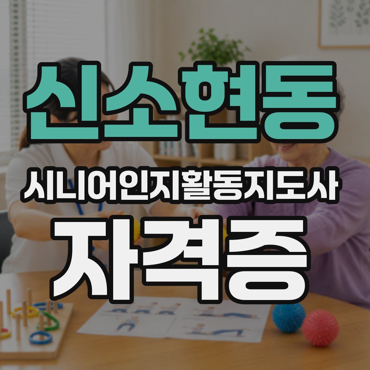 신소현동 시니어인지활동지도사 자격증
