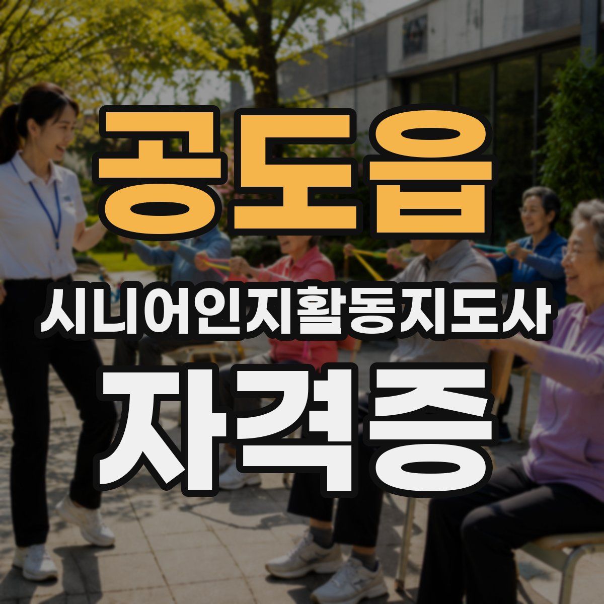 공도읍 시니어인지활동지도사 자격증