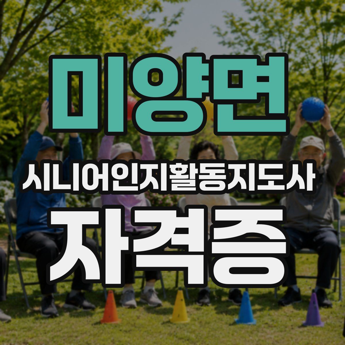 미양면 시니어인지활동지도사 자격증