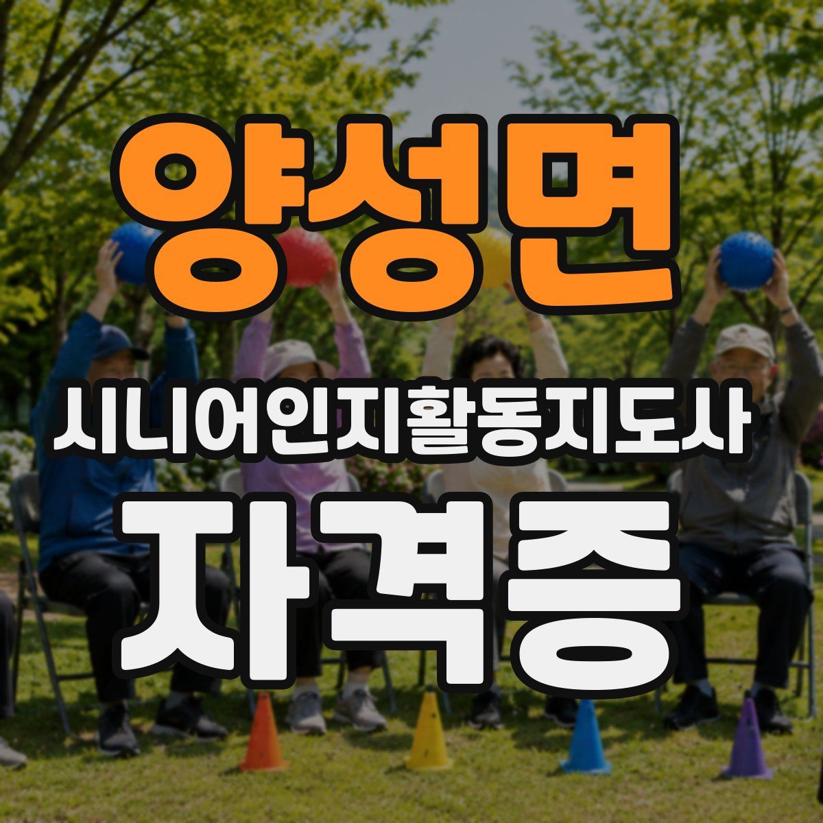 양성면 시니어인지활동지도사 자격증