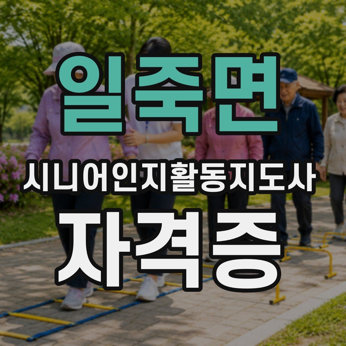 일죽면 시니어인지활동지도사 자격증 취득 과정에서 꼭 확인할 부분