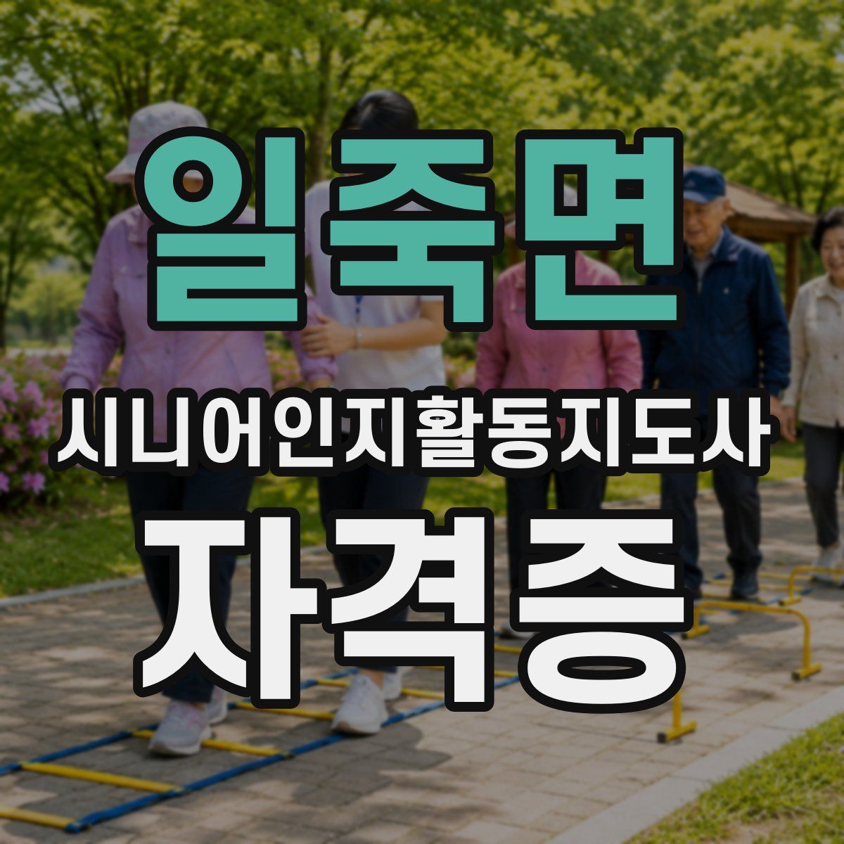 일죽면 시니어인지활동지도사 자격증