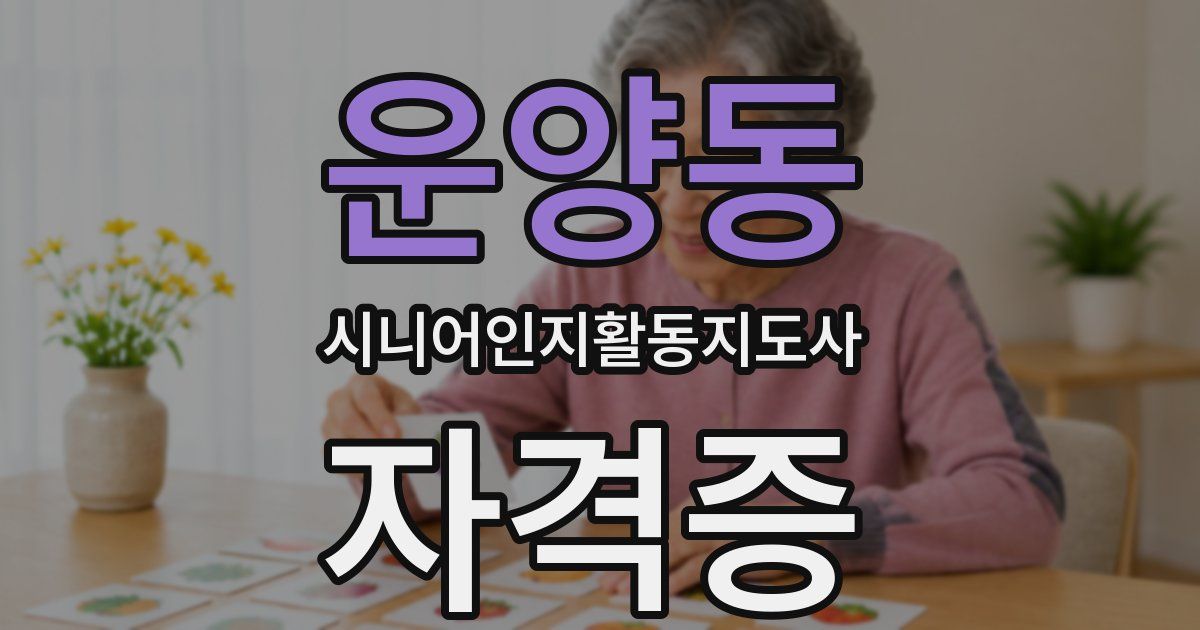 운양동 시니어인지활동지도사 자격증