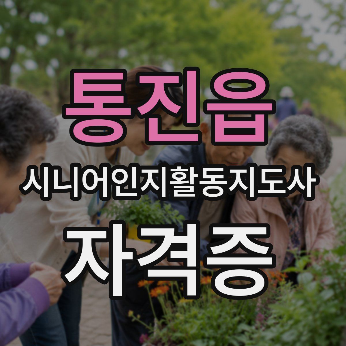 통진읍 시니어인지활동지도사 자격증