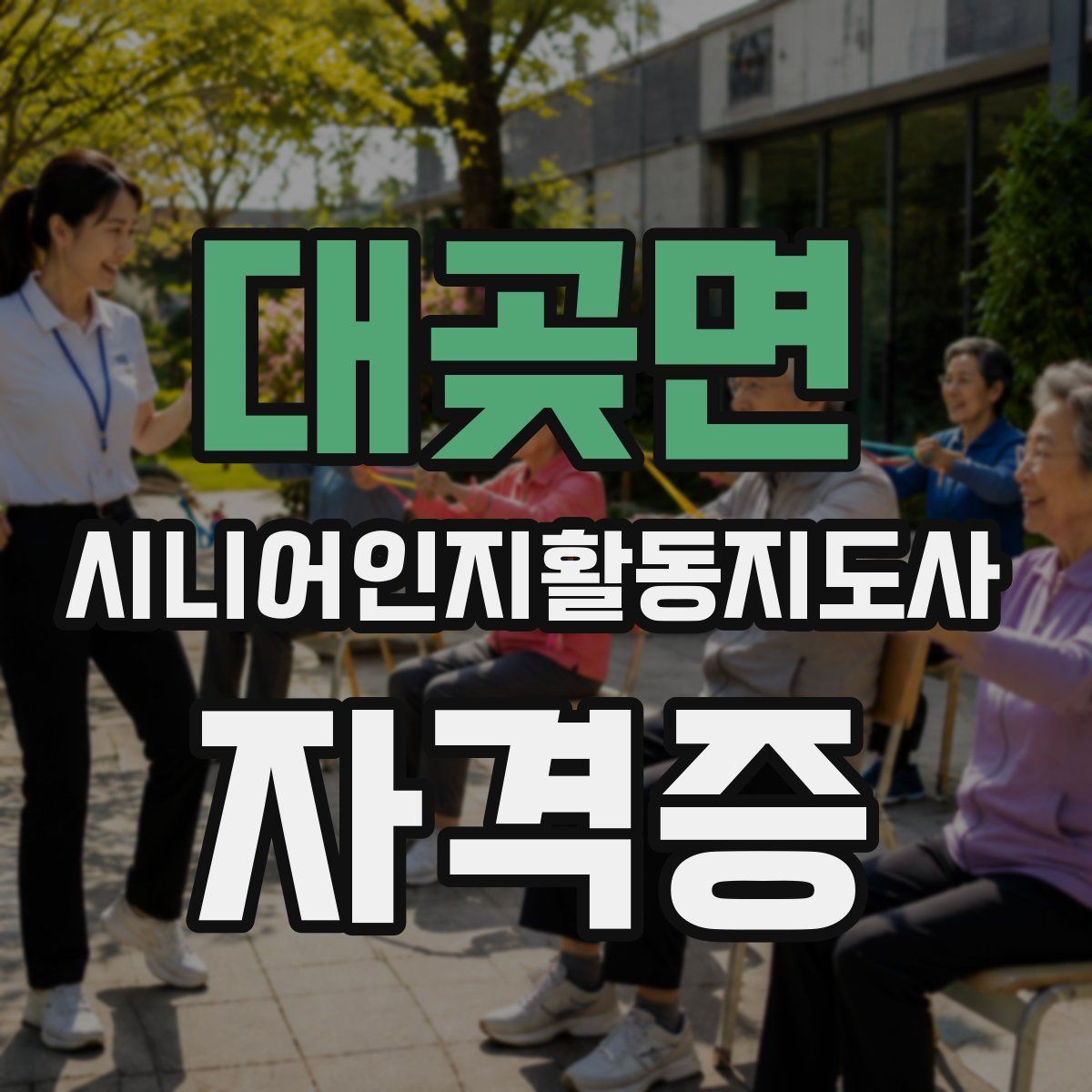 대곶면 시니어인지활동지도사 자격증