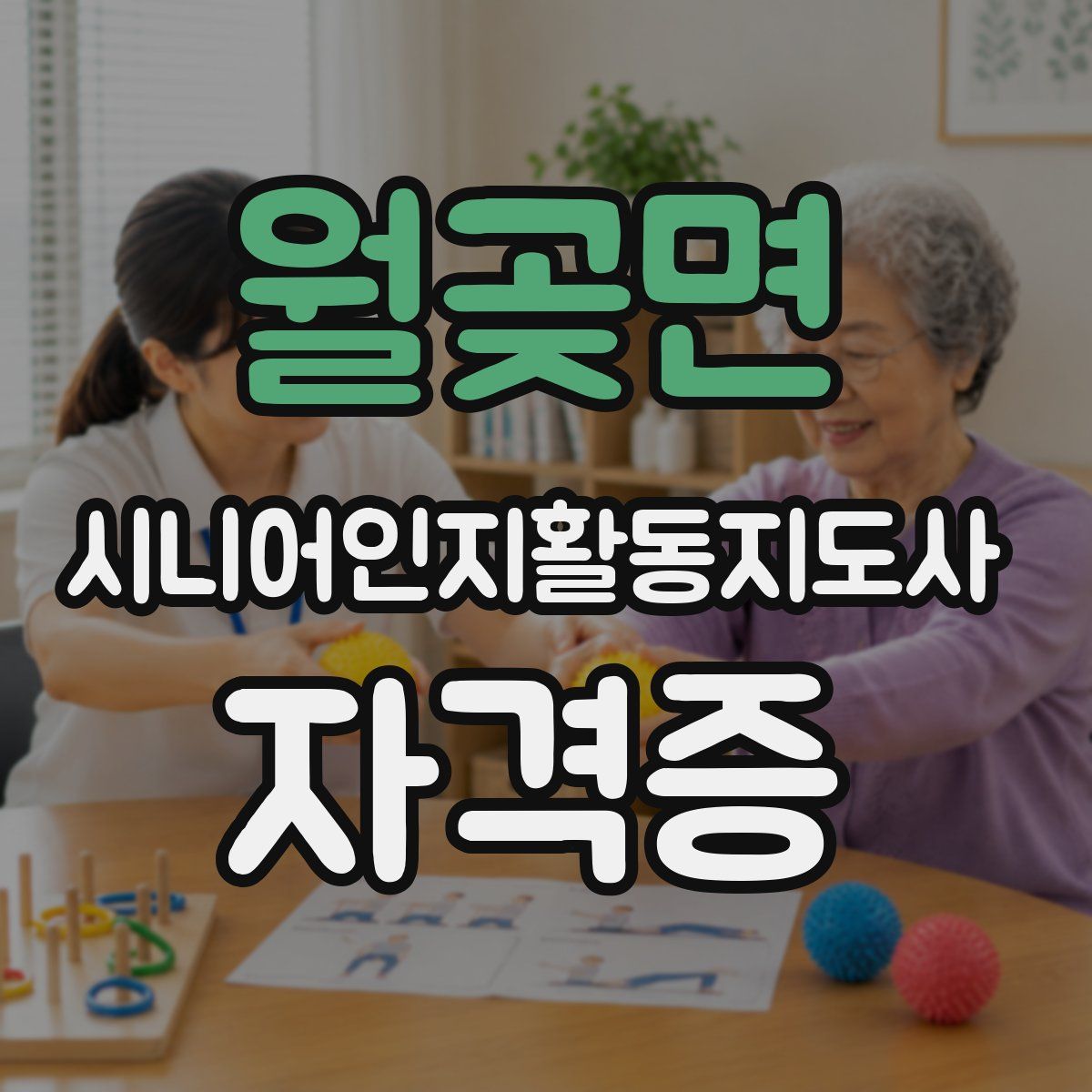 월곶면 시니어인지활동지도사 자격증