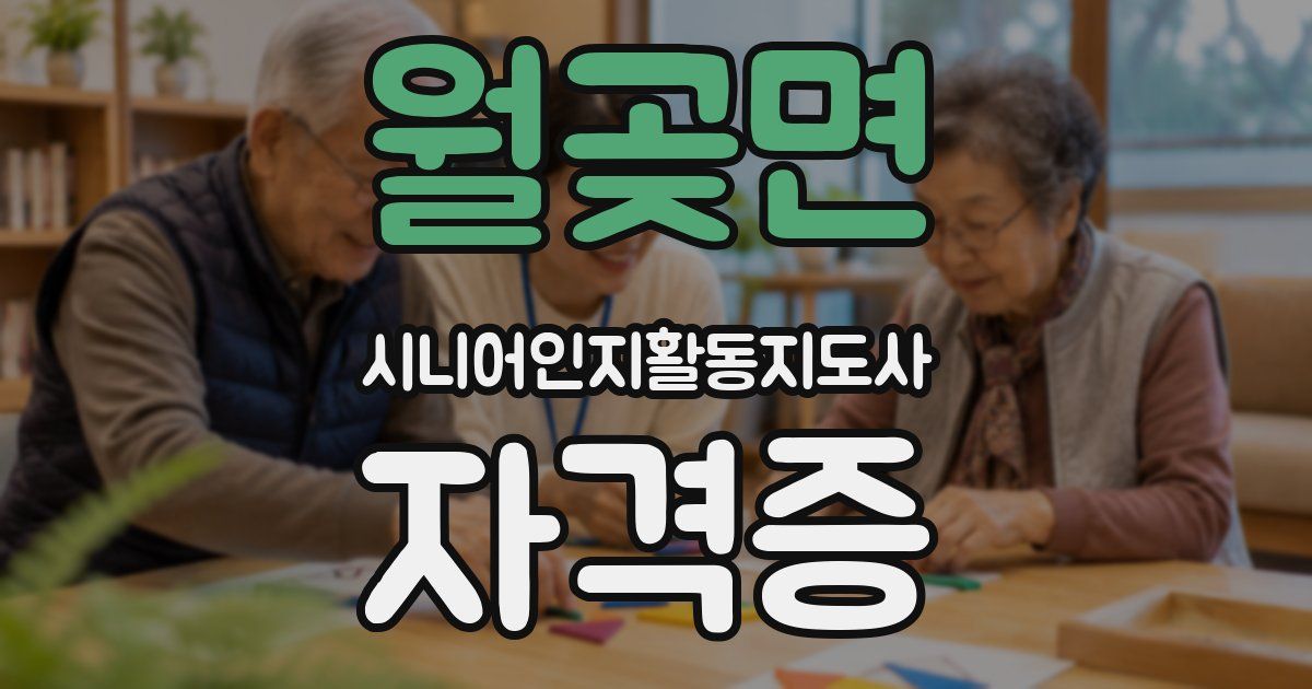 월곶면 시니어인지활동지도사 자격증