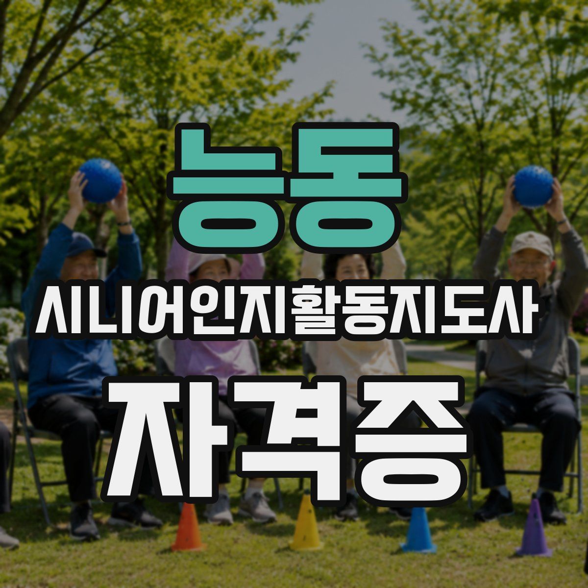 능동 시니어인지활동지도사 자격증