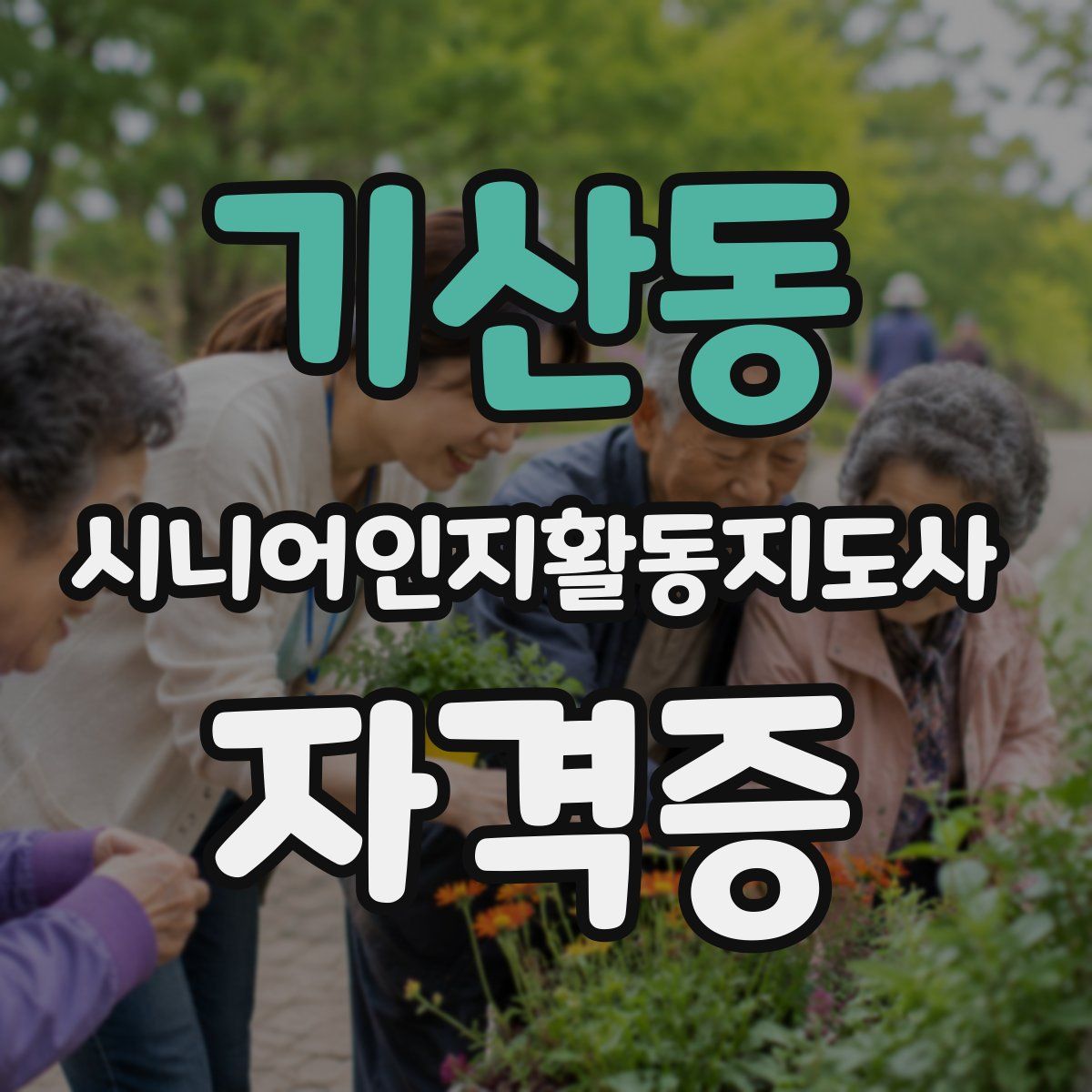 기산동 시니어인지활동지도사 자격증