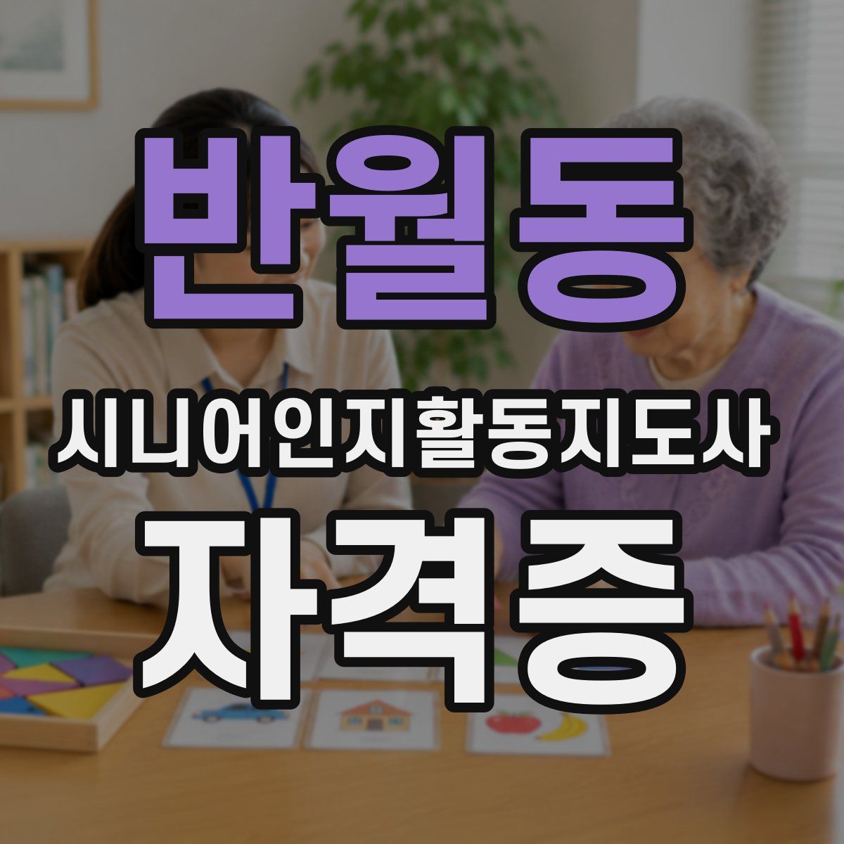 반월동 시니어인지활동지도사 자격증