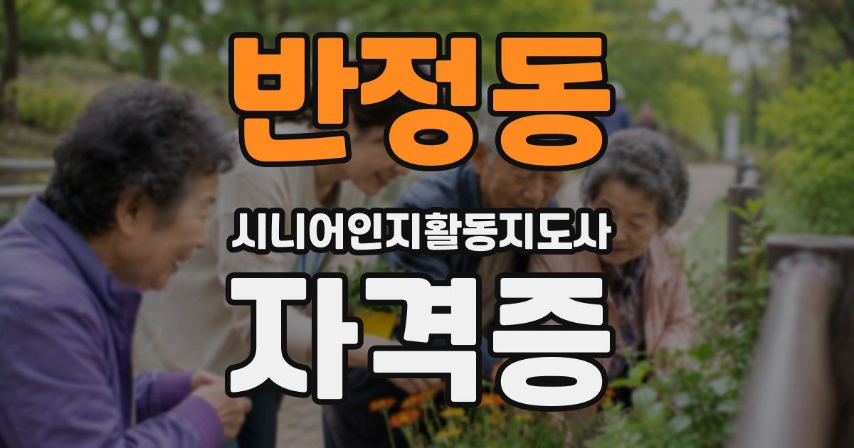 반정동 시니어인지활동지도사 자격증