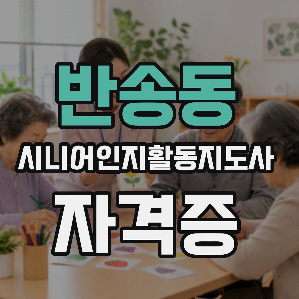 반송동 시니어인지활동지도사 자격증