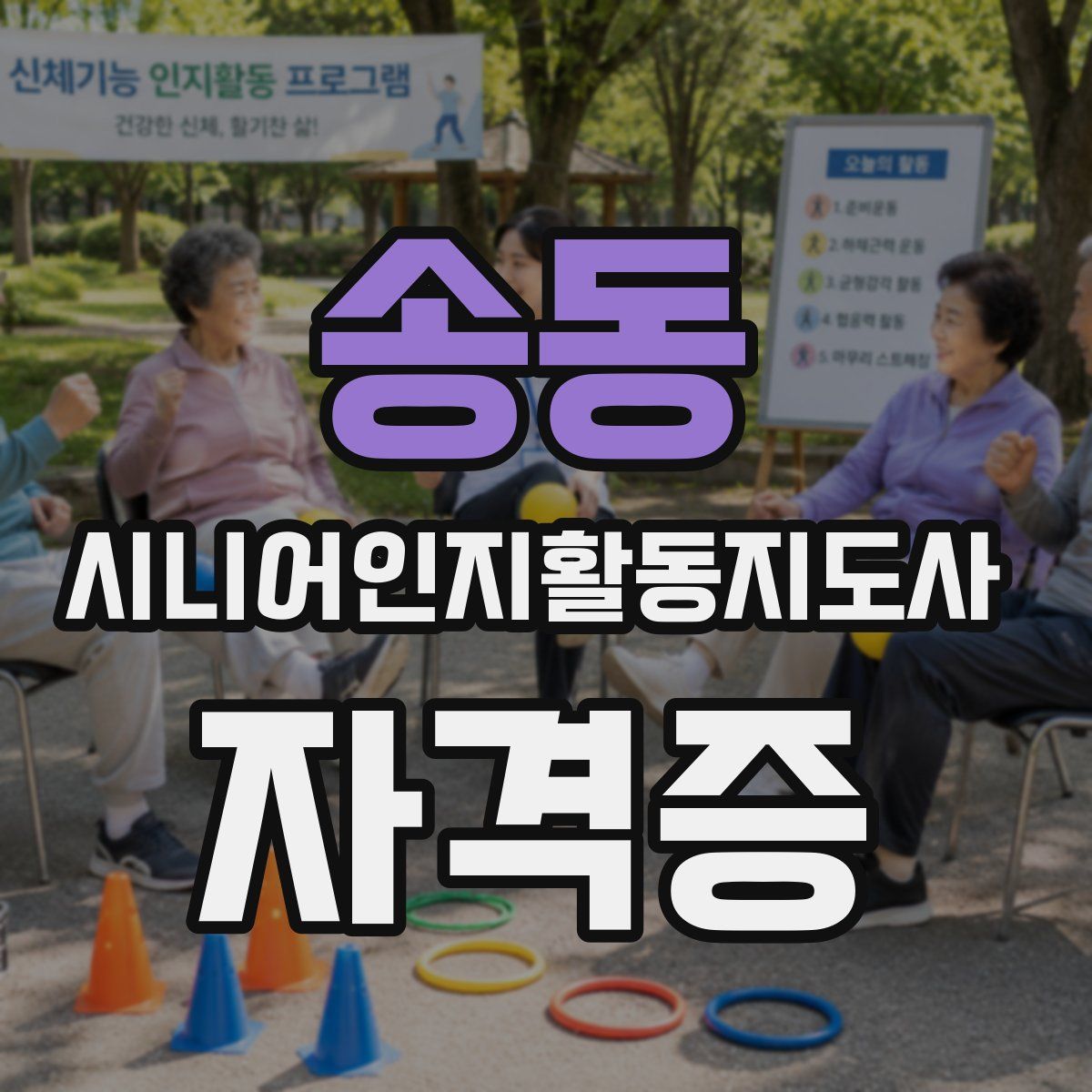 송동 시니어인지활동지도사 자격증