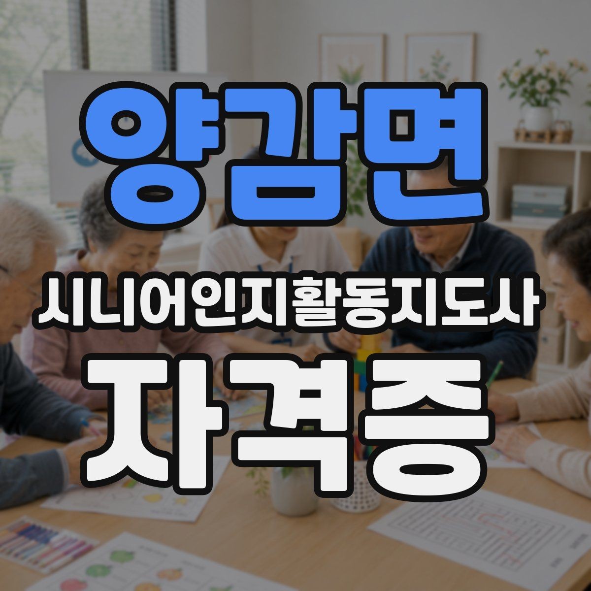 양감면 시니어인지활동지도사 자격증 관련 정보 검색 시 유의점