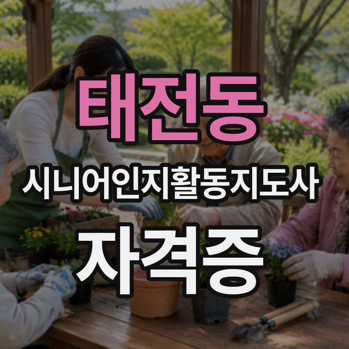 태전동 시니어인지활동지도사 자격증