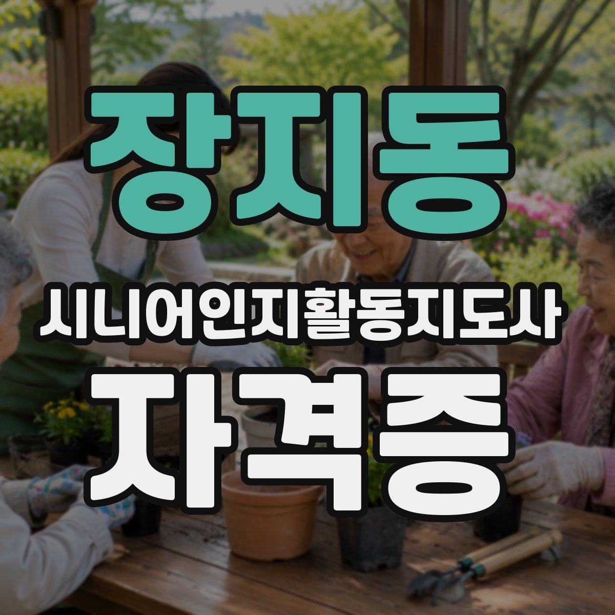 장지동 시니어인지활동지도사 자격증