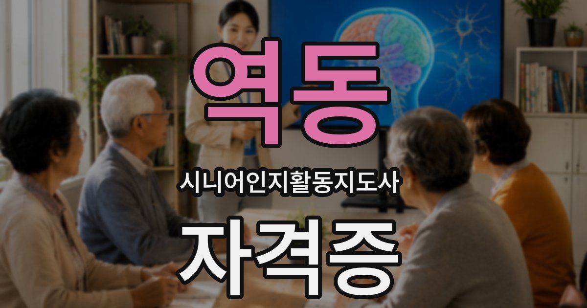 역동 시니어인지활동지도사 자격증
