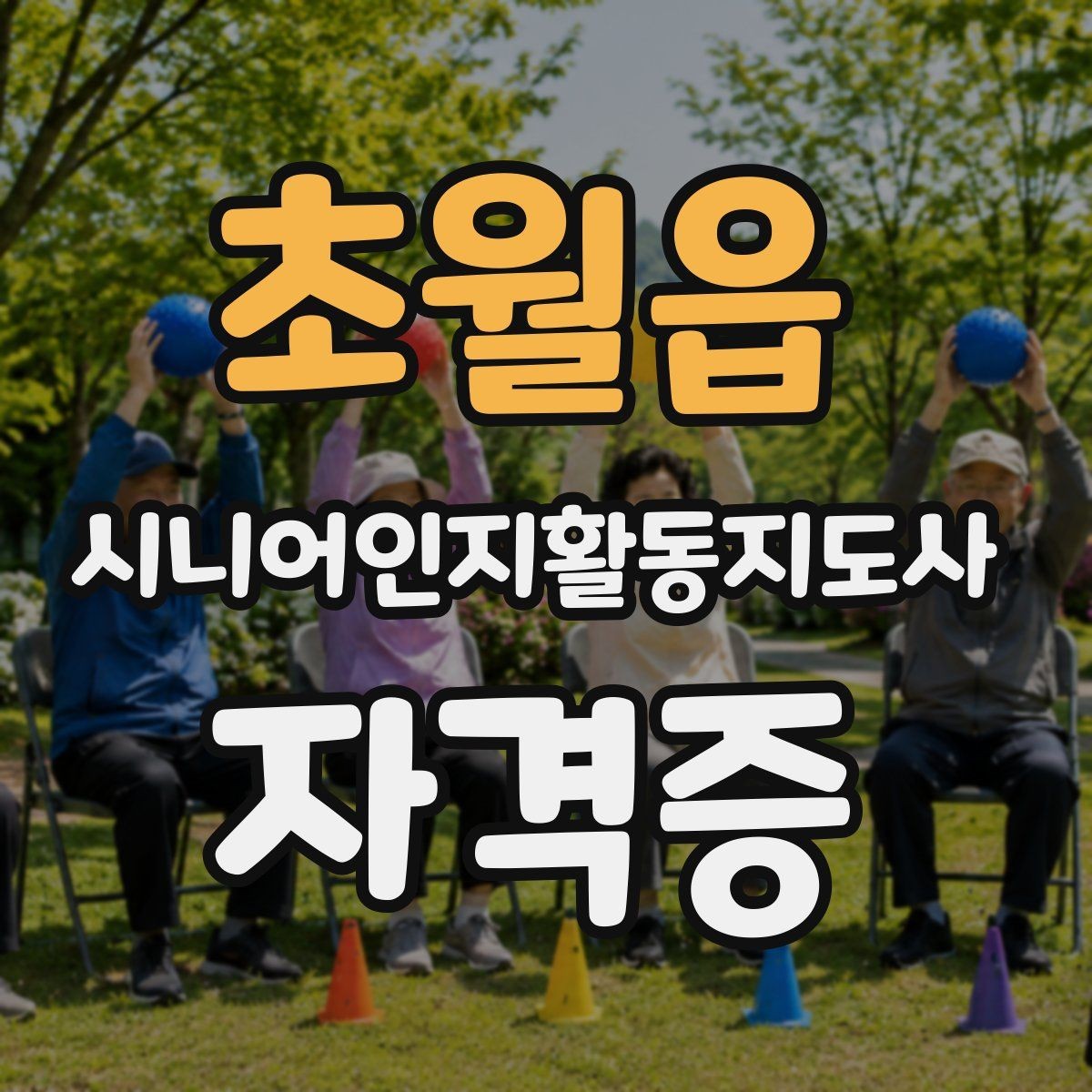 초월읍 시니어인지활동지도사 자격증 강의 선택 시 커뮤니티 활용법