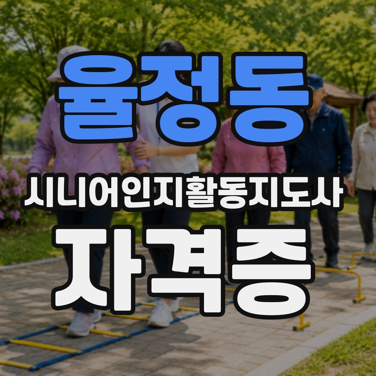 율정동 시니어인지활동지도사 자격증