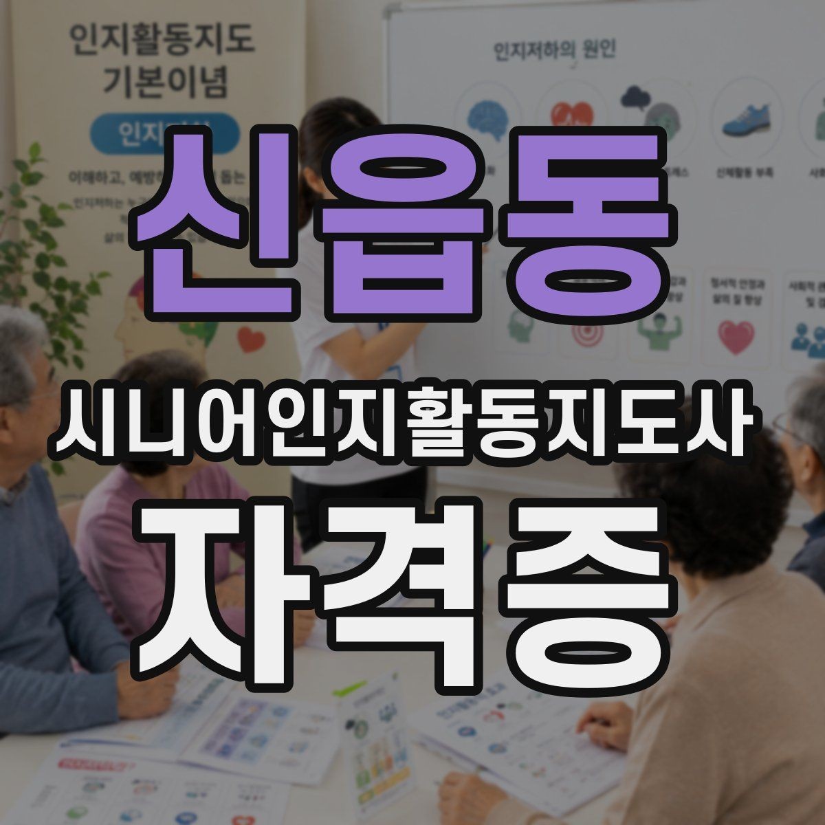 신읍동 시니어인지활동지도사 자격증 정보 찾을 때 확인할 출처