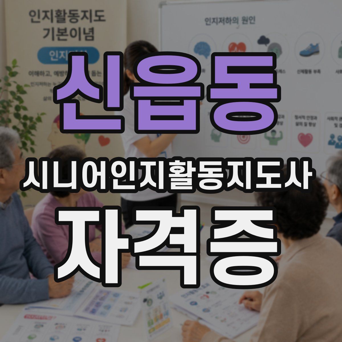 신읍동 시니어인지활동지도사 자격증
