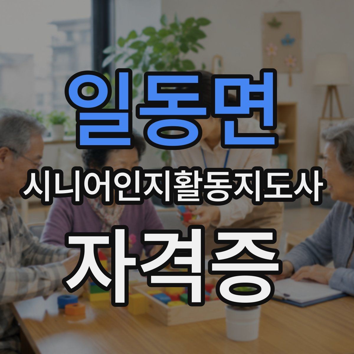 일동면 시니어인지활동지도사 자격증 시험 과목별 특징 알아보기