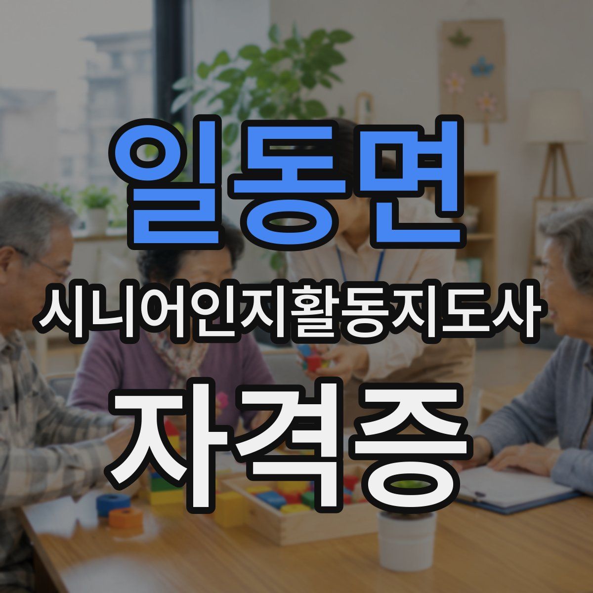 일동면 시니어인지활동지도사 자격증