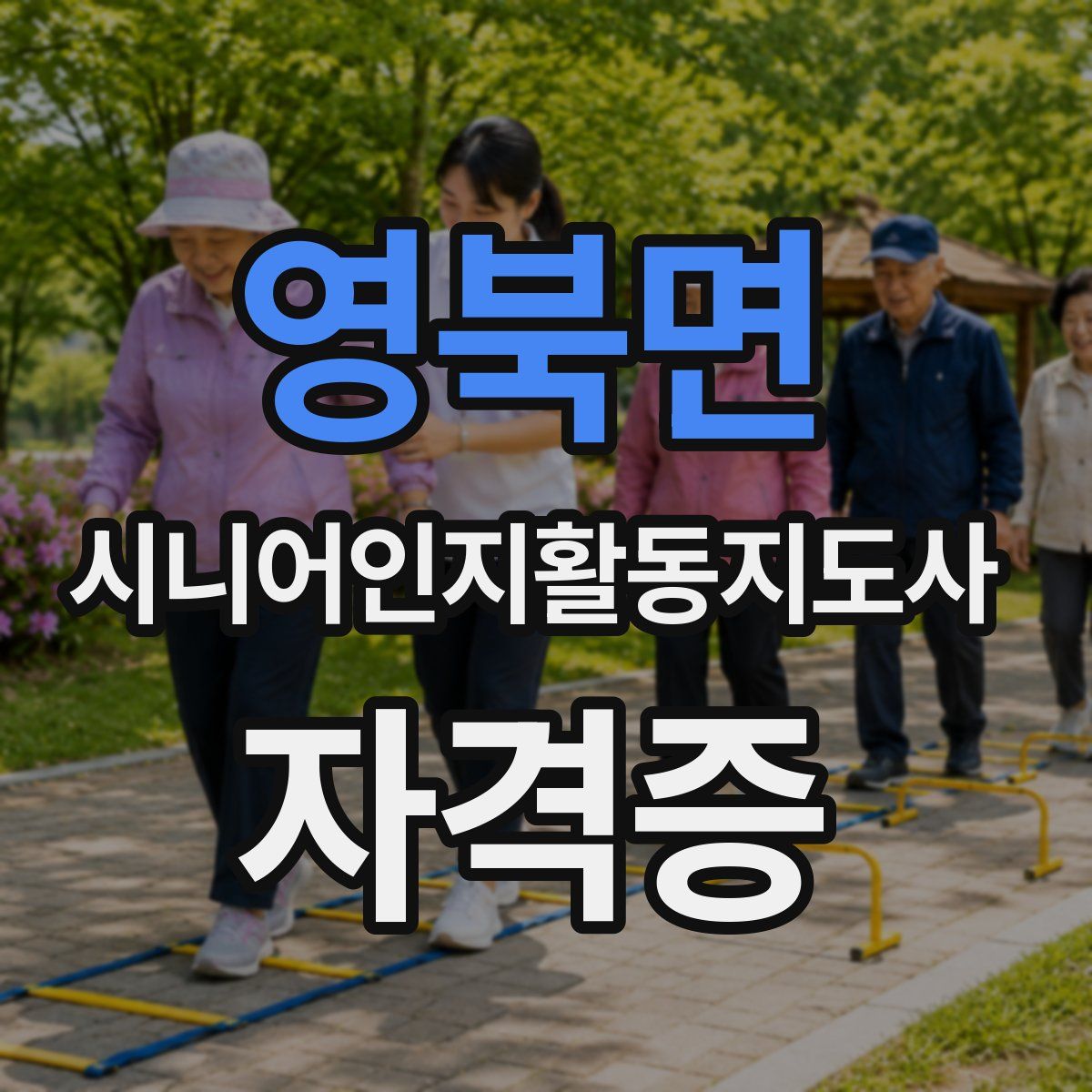영북면 시니어인지활동지도사 자격증
