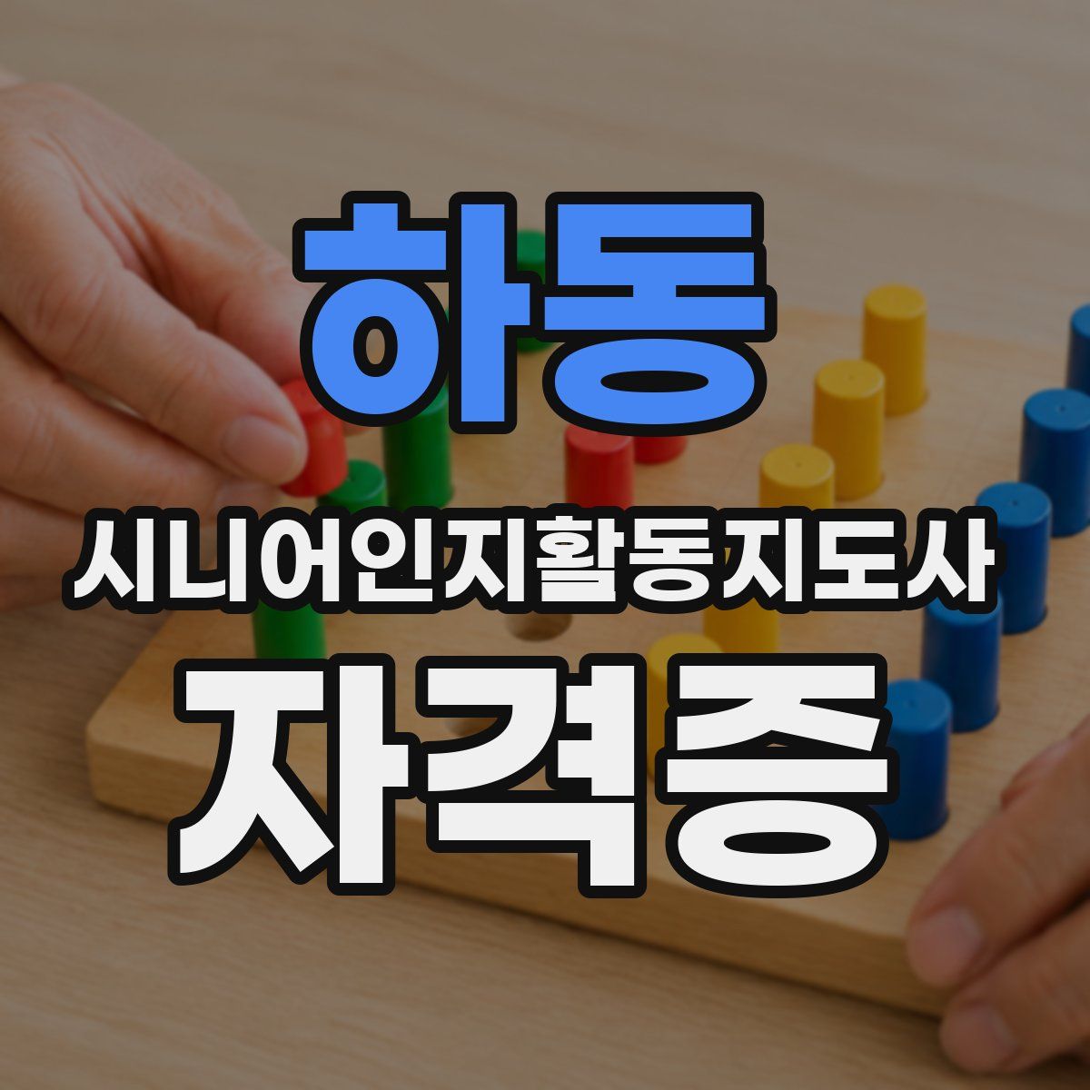 하동 시니어인지활동지도사 자격증