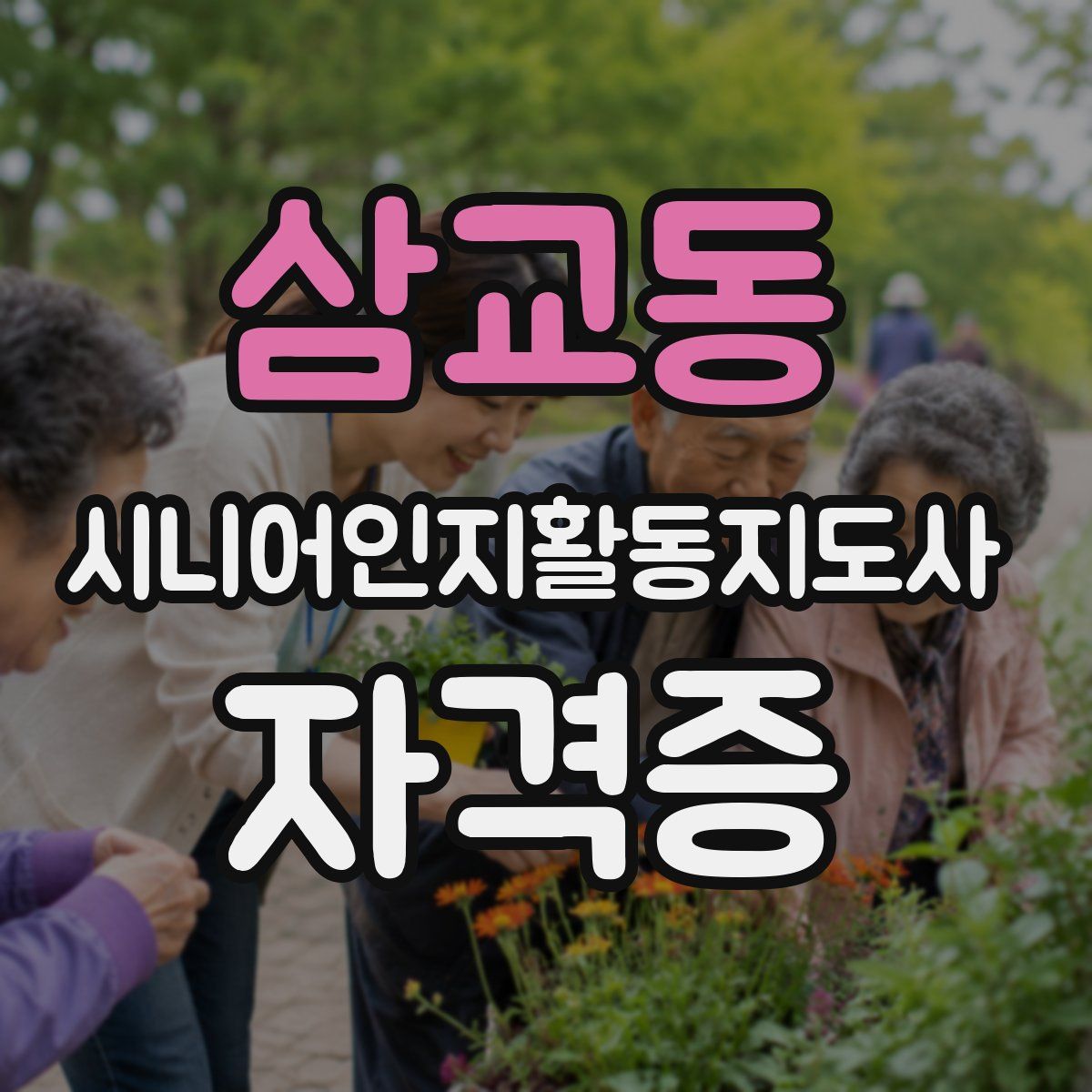 삼교동 시니어인지활동지도사 자격증