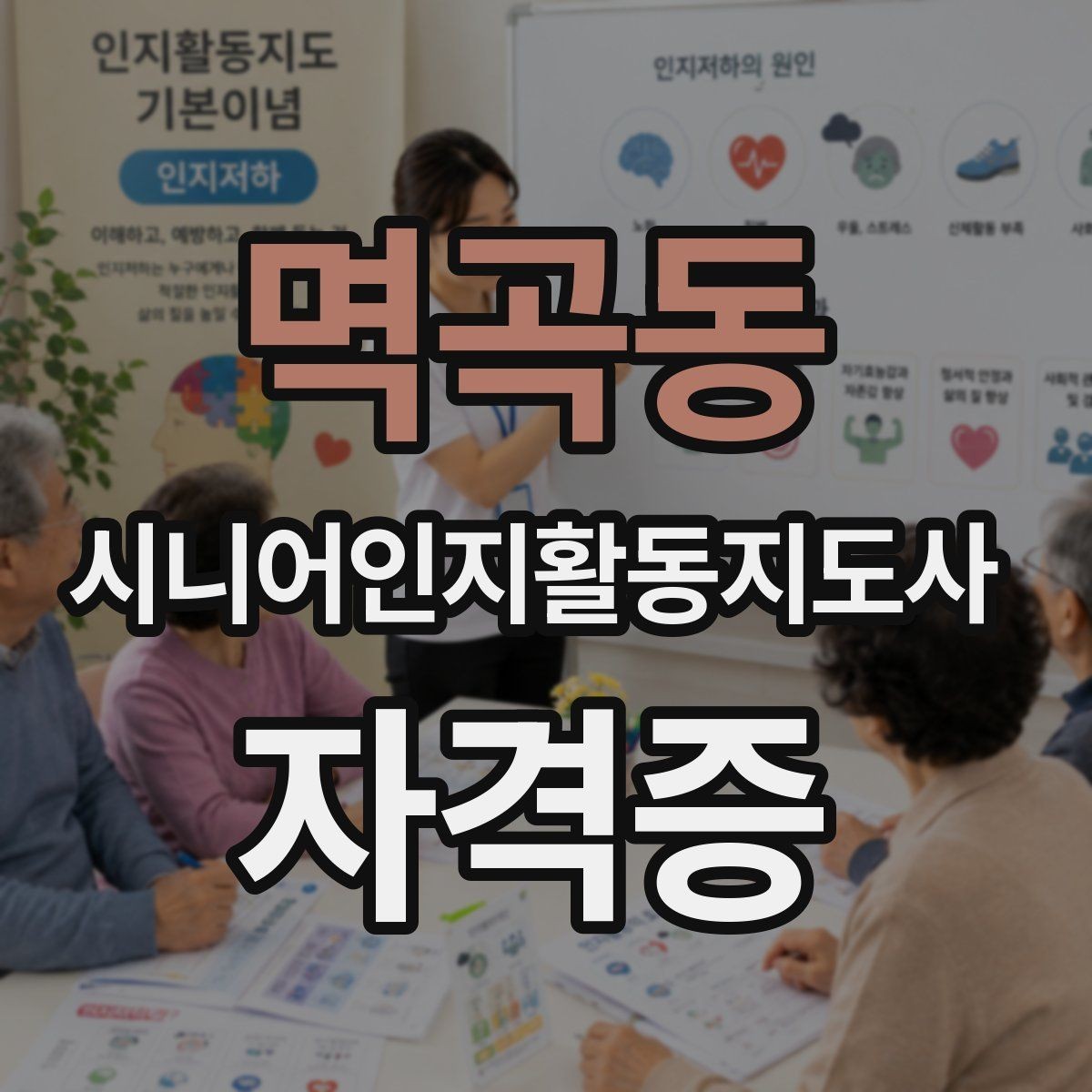 멱곡동 시니어인지활동지도사 자격증 활용 분야와 전망 살펴보기