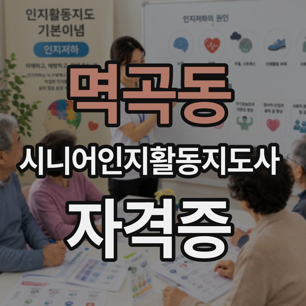 멱곡동 시니어인지활동지도사 자격증