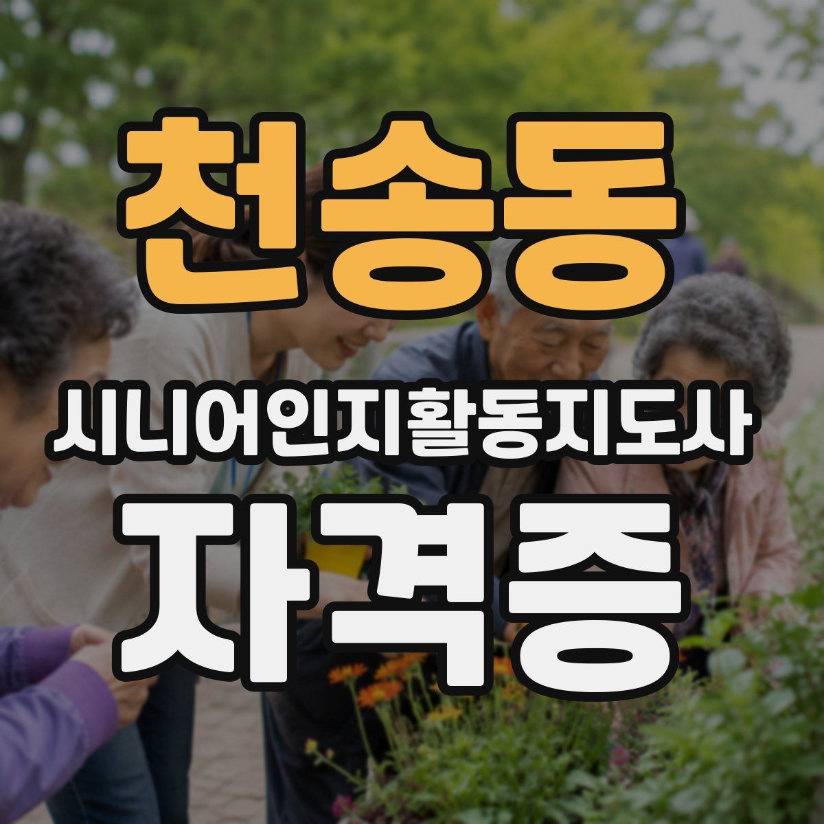 천송동 시니어인지활동지도사 자격증