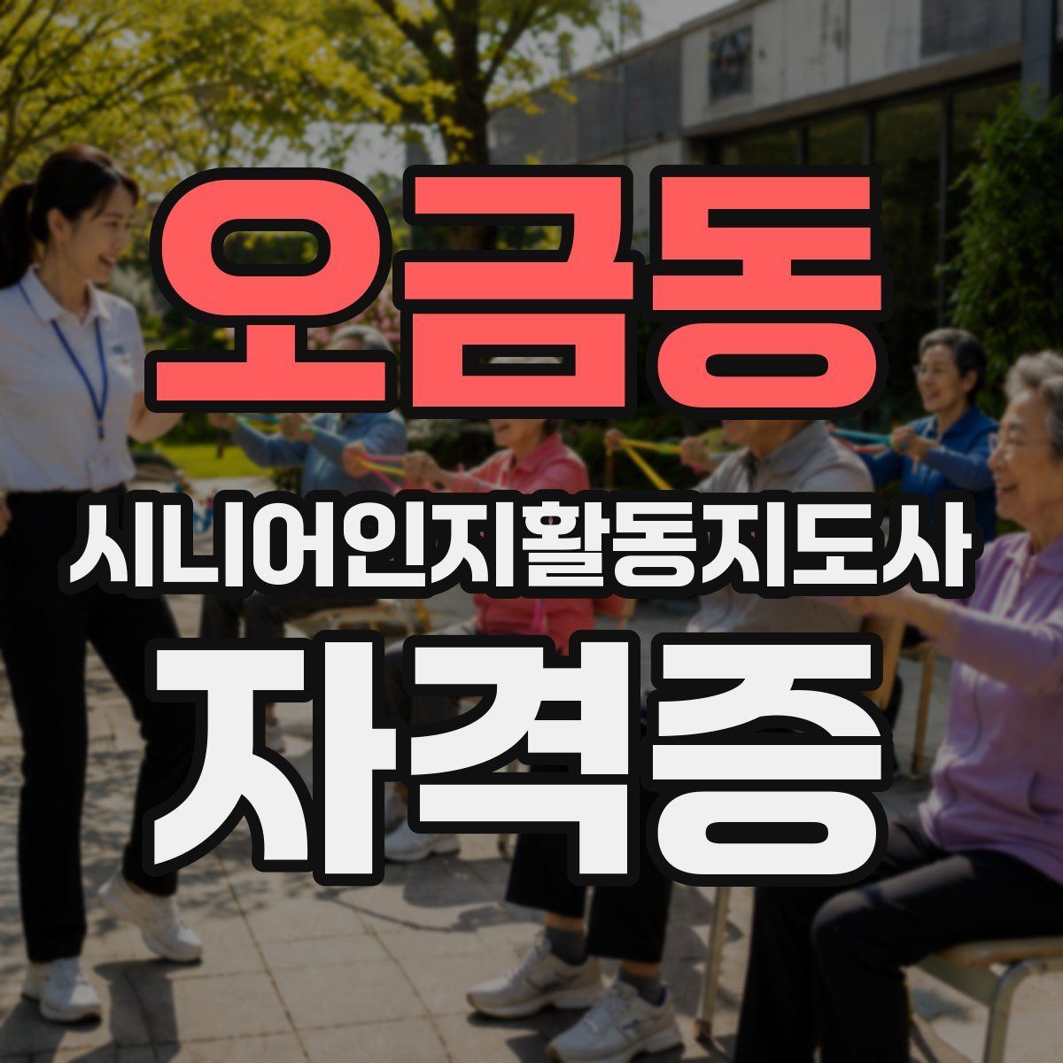 오금동 시니어인지활동지도사 자격증