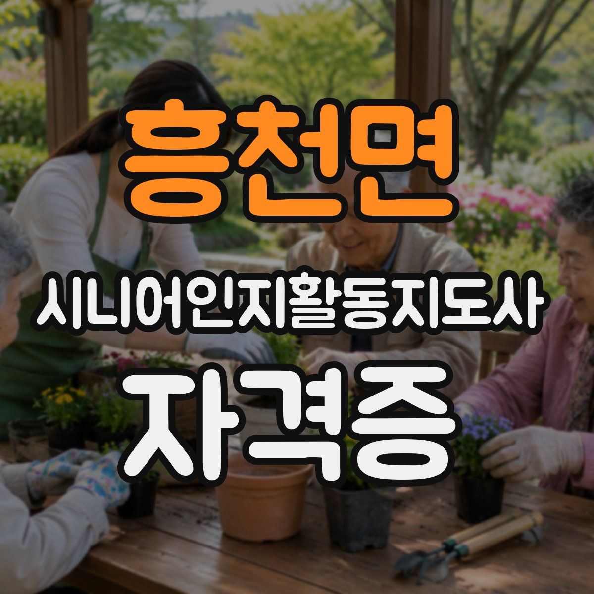 흥천면 시니어인지활동지도사 자격증