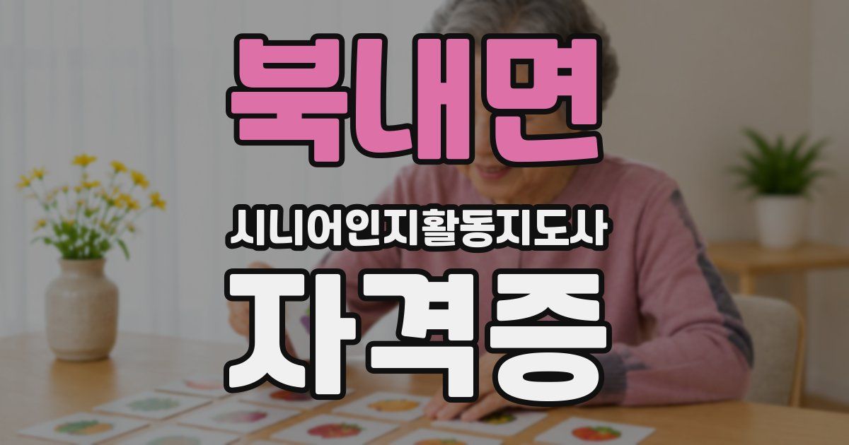 북내면 시니어인지활동지도사 자격증