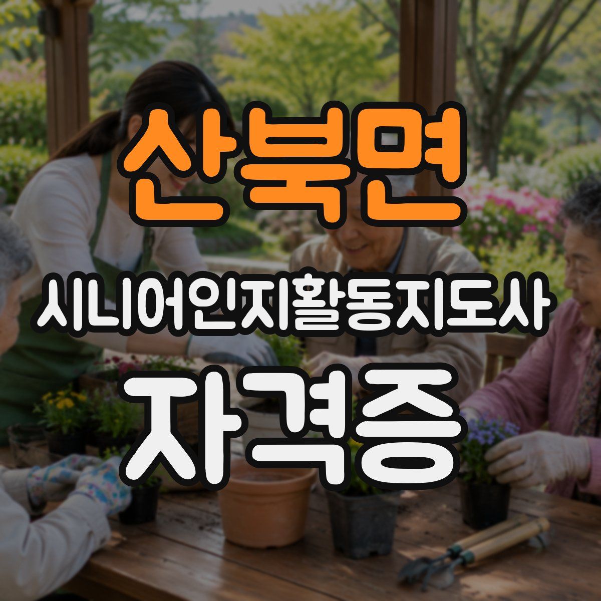 산북면 시니어인지활동지도사 자격증