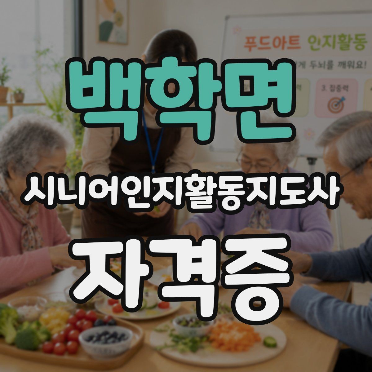 백학면 시니어인지활동지도사 자격증 연계 활동 분야 살펴보기