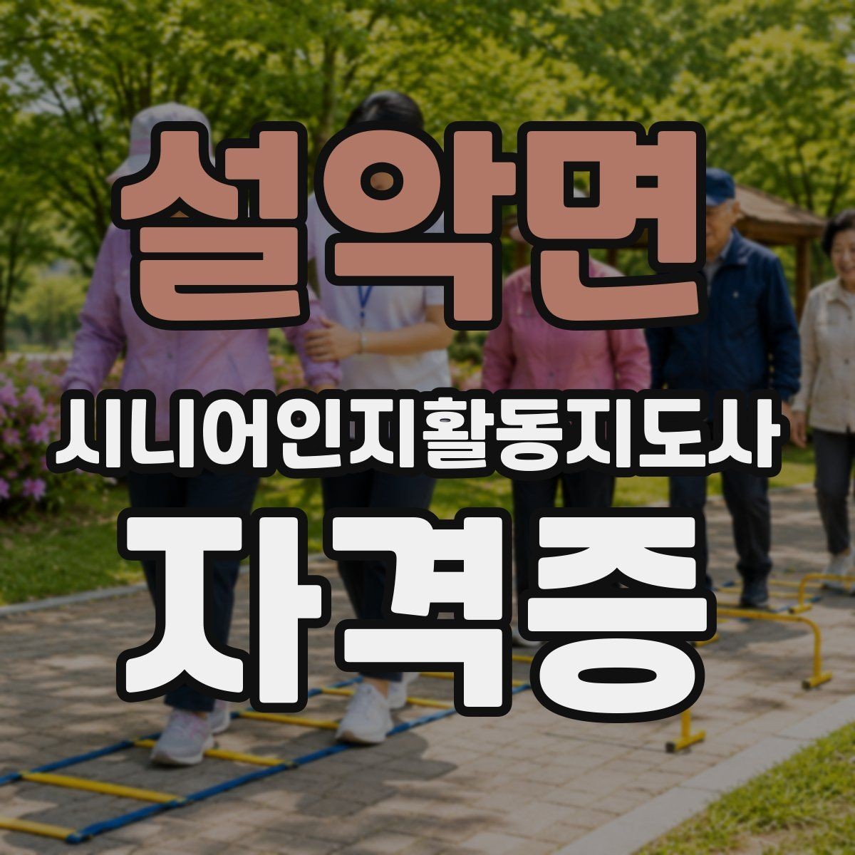 설악면 시니어인지활동지도사 자격증 시험 과목별 특징 알아보기