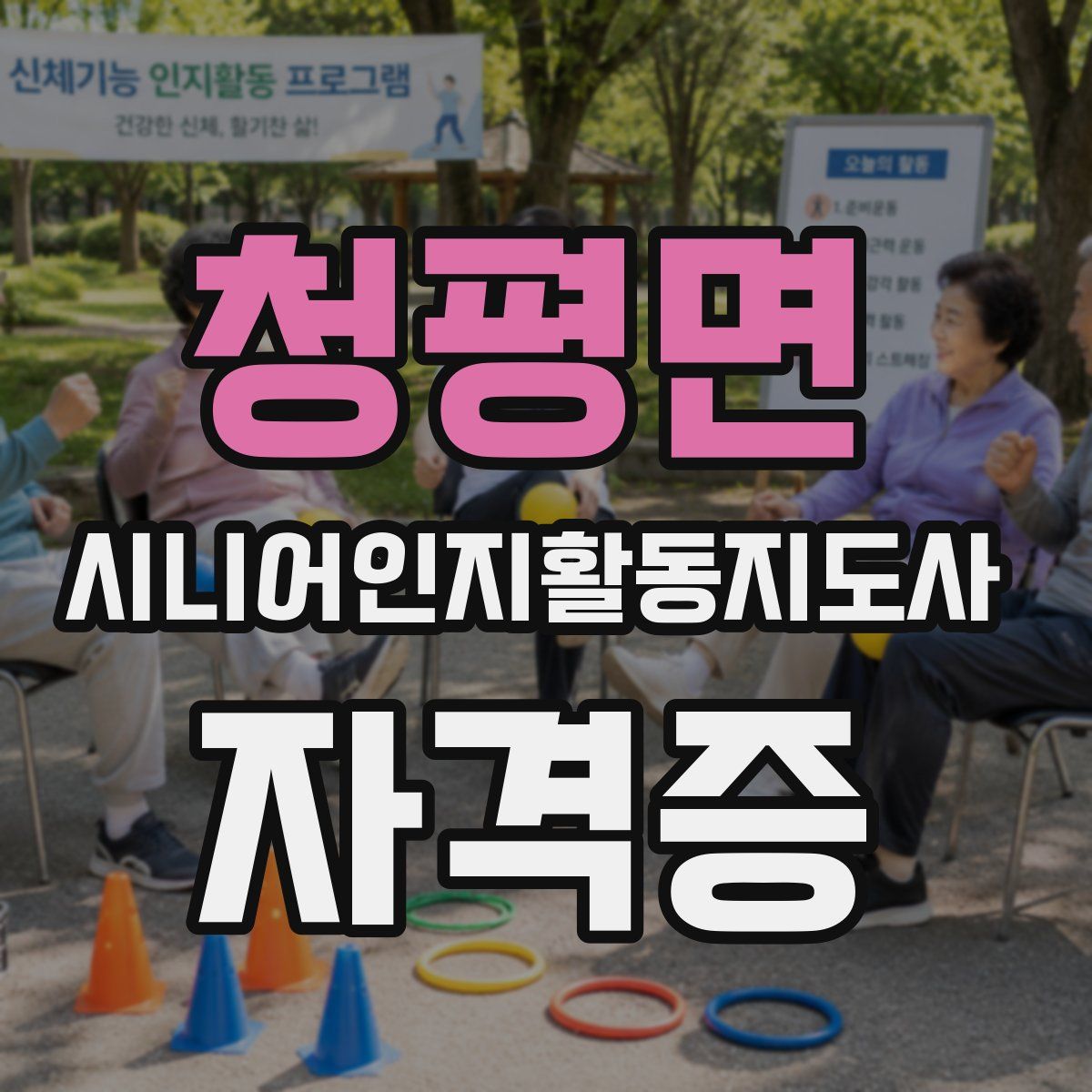 청평면 시니어인지활동지도사 자격증
