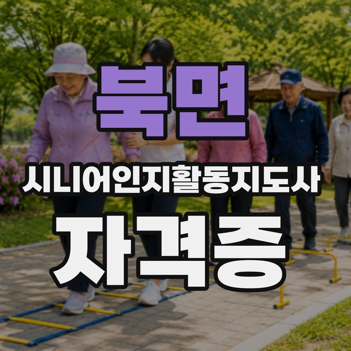 북면 시니어인지활동지도사 자격증