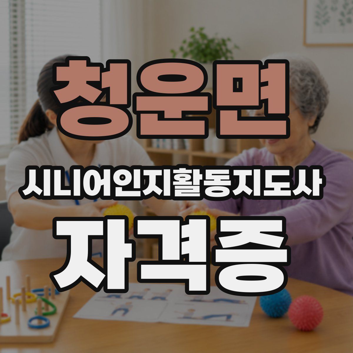 청운면 시니어인지활동지도사 자격증