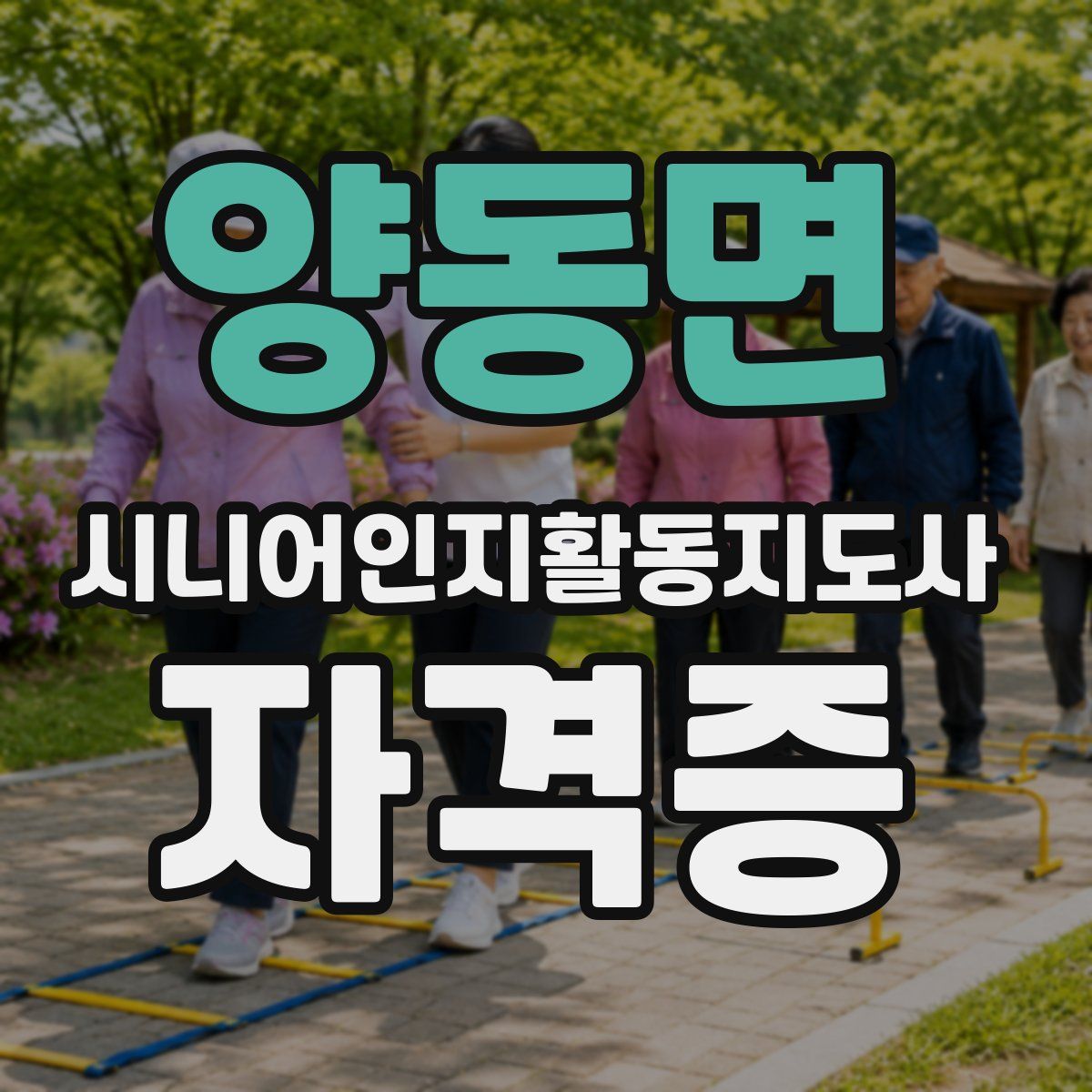 양동면 시니어인지활동지도사 자격증